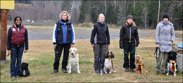 bild av klass I-hundar